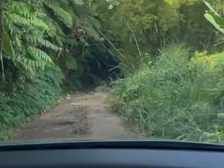 Dirt road through dense jungle vegetation on the drive to Sandra's Coffee Farm in Puerto Rico